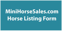 List your Horse at Mini Horse Sales