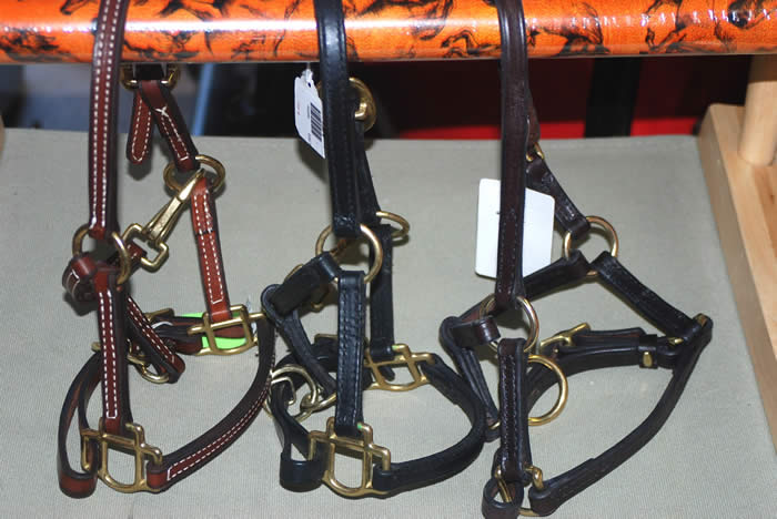 Stable Halters  Supplies offered for sale at Mini Horse Sales