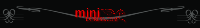 Mini Express