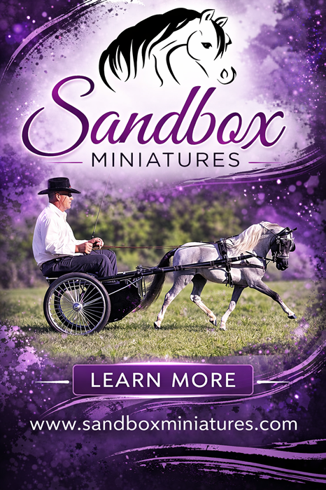 sandbox miniatures in massachusetts