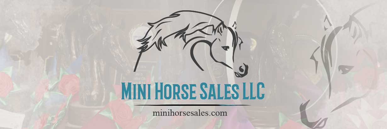 Mini Horse Sales.com header