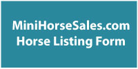 List your horse at Mini Horse Sales