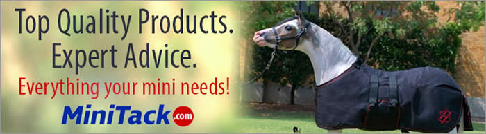 horse equipment for sale
