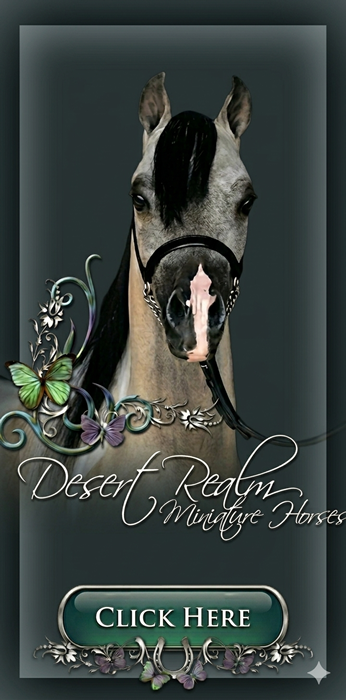 desert realm miniature horses